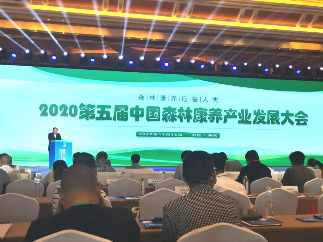 喜報(bào)！江油竇圌山景區(qū)榮獲“全國(guó)森林康養(yǎng)基地試點(diǎn)建設(shè)單位”稱號(hào)！